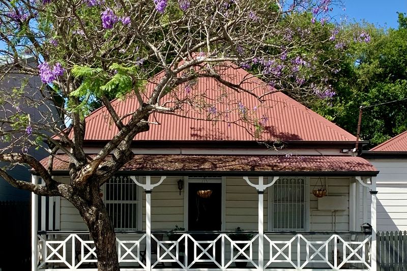 Queenslander cottage with a red roof and timber balustrade under a jacaranda in New Farm