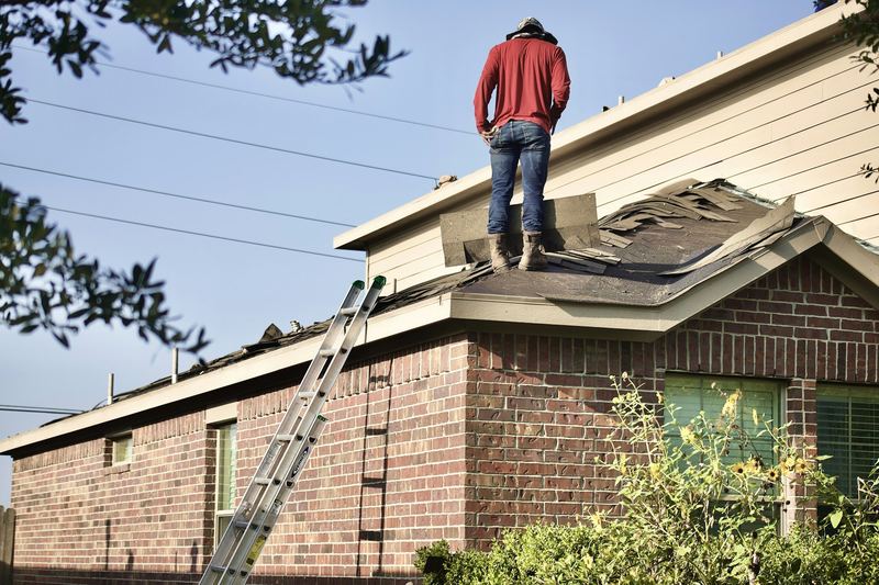 Person standing on a tiled house roof with a ladder against the gutter