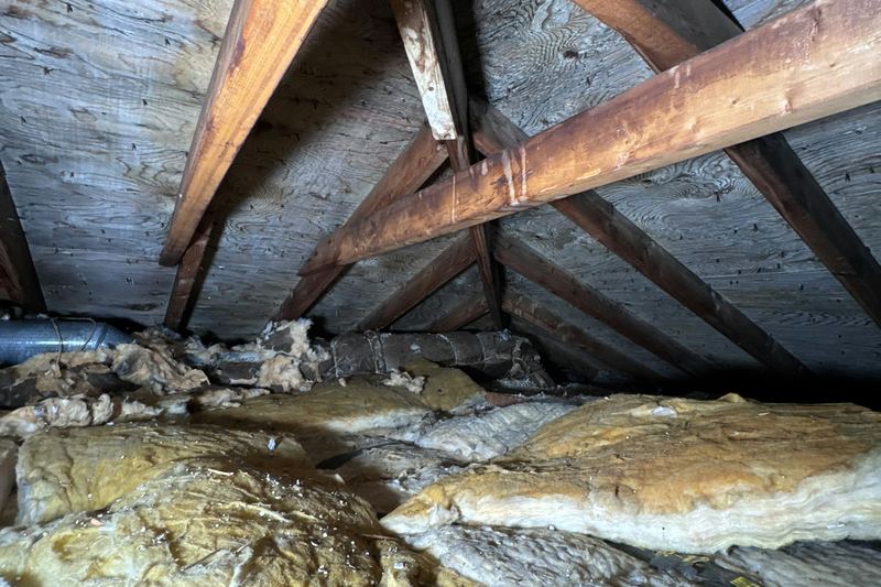 Roof void with insulation laid between timber rafters